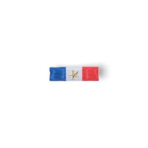 Barrette Dixmude Médaille Courage et Dévouement - Vermeil