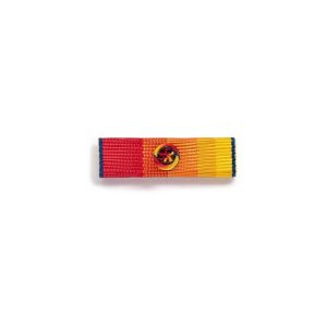 Barrette Dixmude Médaille des sapeurs-pompiers - Services exceptionnels Argent