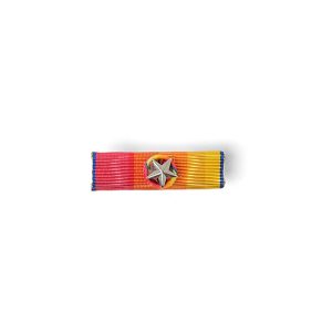 Barrette Dixmude Médaille des sapeurs-pompiers - Services exceptionnels Vermeil