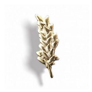 Insigne de faluche - Palme certificat