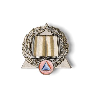 Insigne Développement des compétences - Accompagnateur Bronze