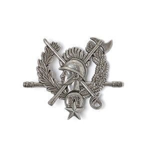 Insigne Chef de centre - Argent