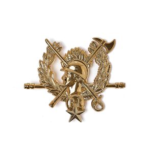 Insigne Chef de corps départemental