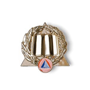 Insigne Développement des compétences - Concepteur Or