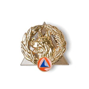 Insigne Cyno Chef de section - Or