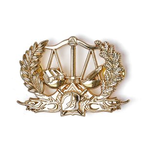 Insigne Préventionniste PRV3 - Or