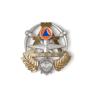Insigne USAR Chef de section - Or