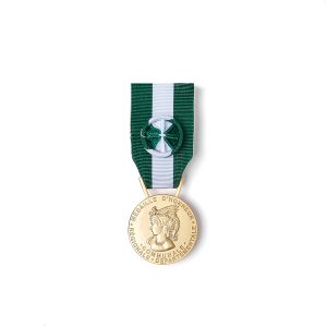 Médaille régionale, départementale et communale Or 35 ans