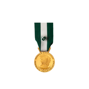 Médaille d'honneur régionale, départementale et communale Or 35 ans - argent massif