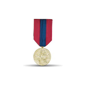 Médaille de la Défense nationale Bronze