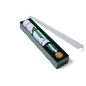 Ivoire argent massif - Médaille d'honneur régionale Vermeil 30 ans